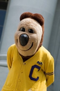 Oski Bear